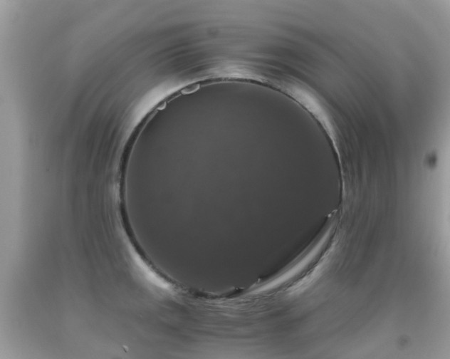 X0000091941141200709051517