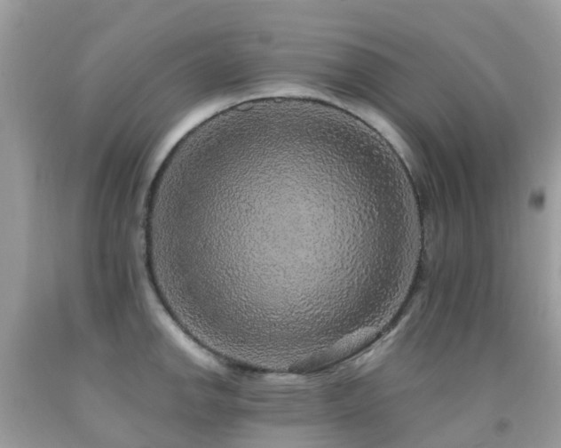 X0000091941142200709051517