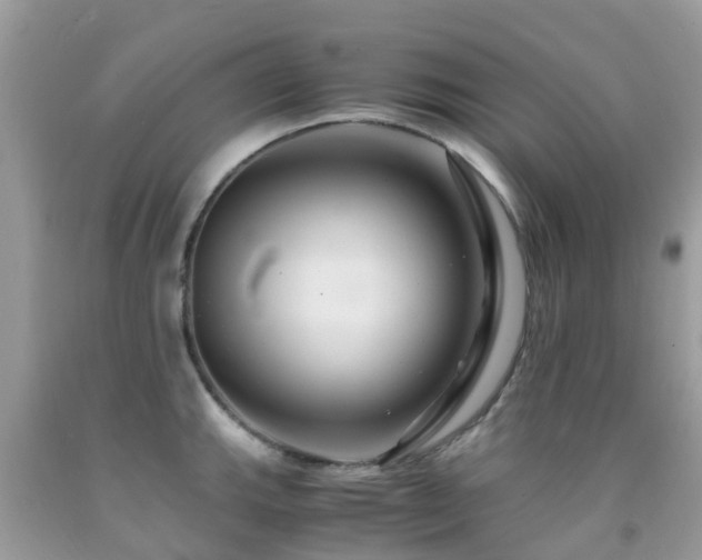 X0000091941143200709051517