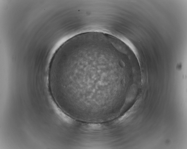 X0000091941144200709051517