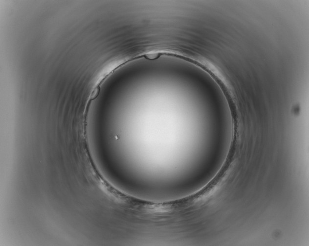 X0000091941145200709051517