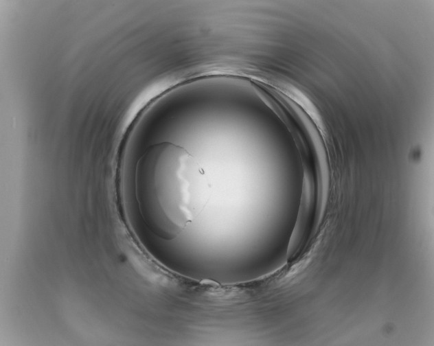 X0000091941146200709051517