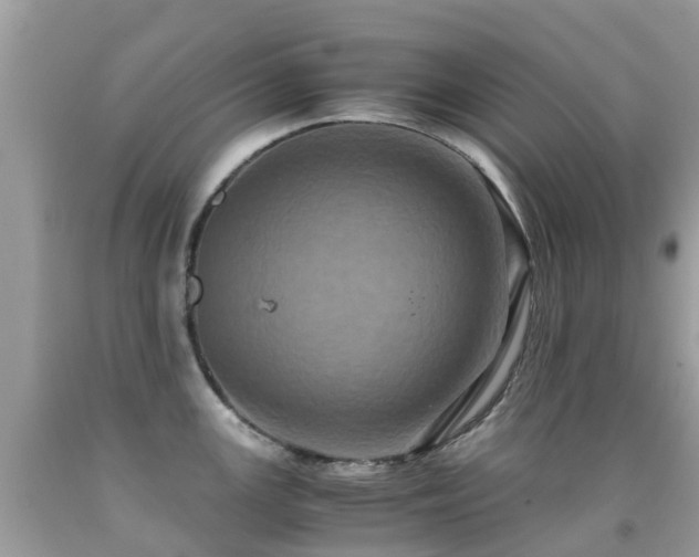 X0000091941147200709051517