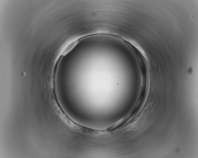 X0000091941148200709051517