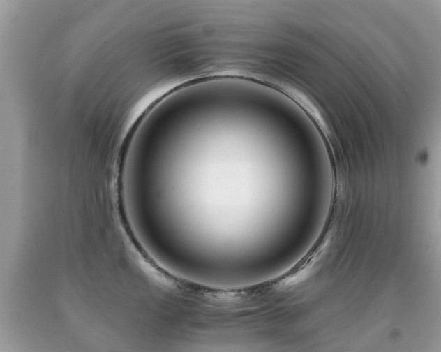 X0000091941149200709051517