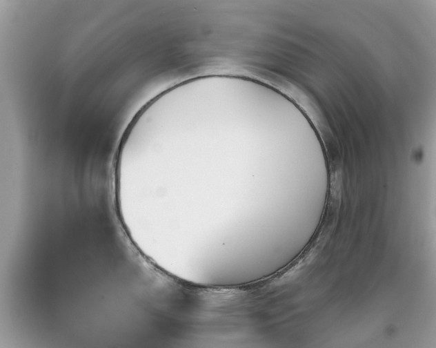 X0000091941150200709051517