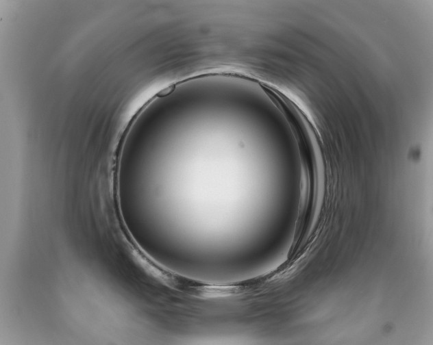 X0000091941151200709051517