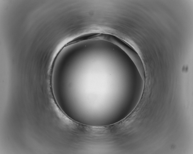 X0000091941152200709051517