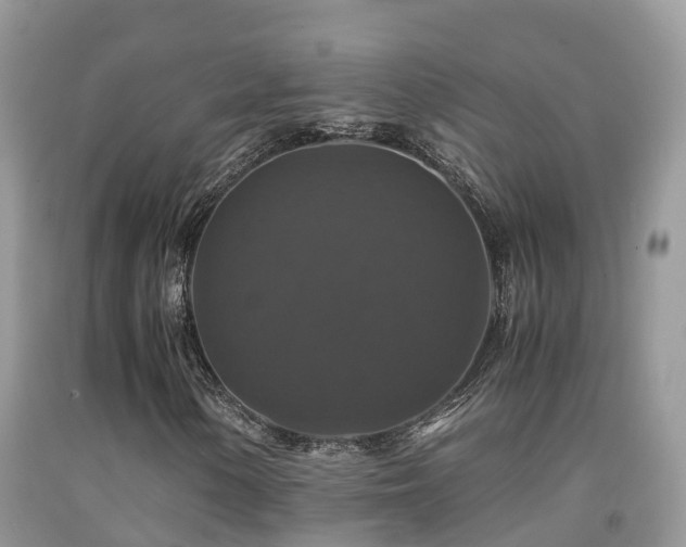 X0000091941154200709051516