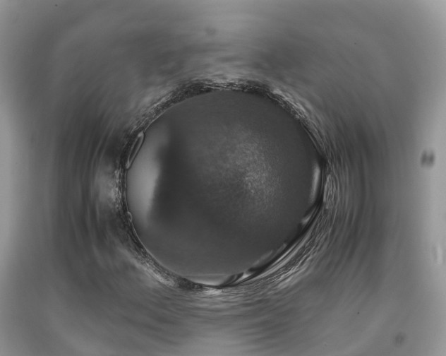 X0000091941156200709051516