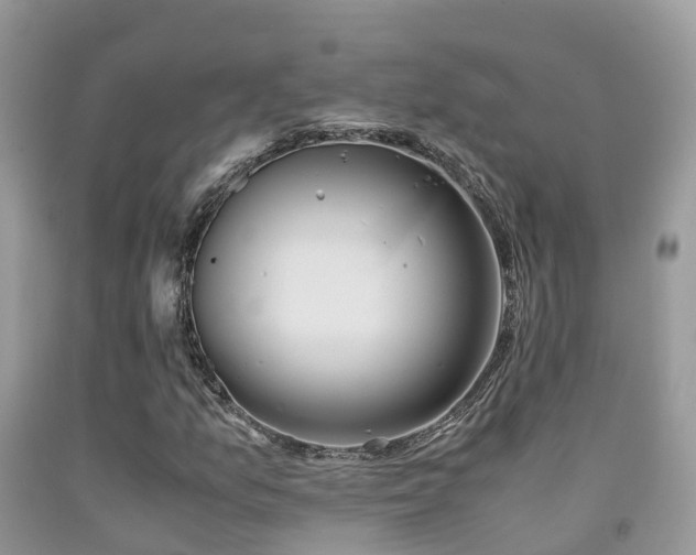 X0000091941157200709051516