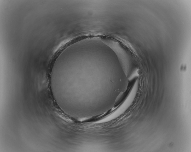 X0000091941160200709051516