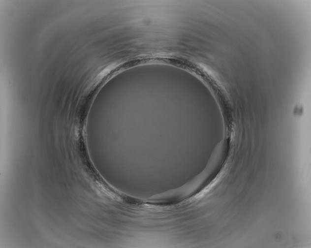 X0000091941161200709051516