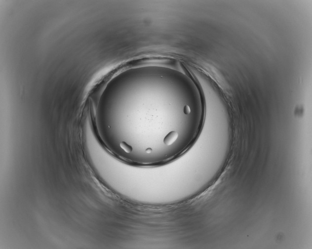 X0000091941164200709051516