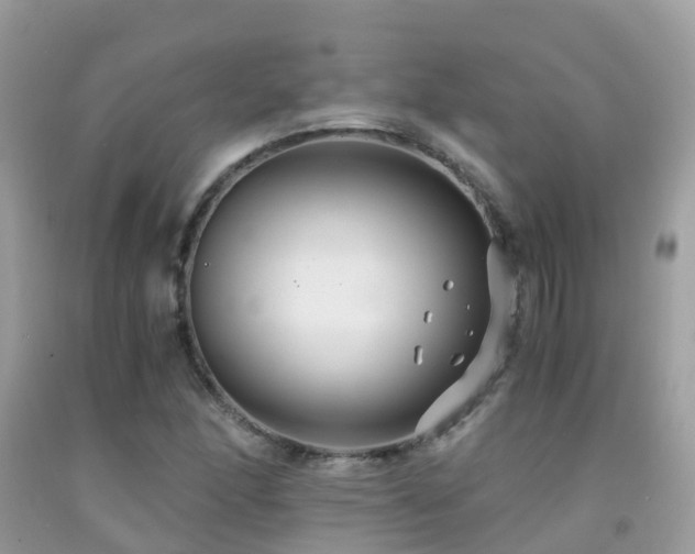 X0000091941166200709051516