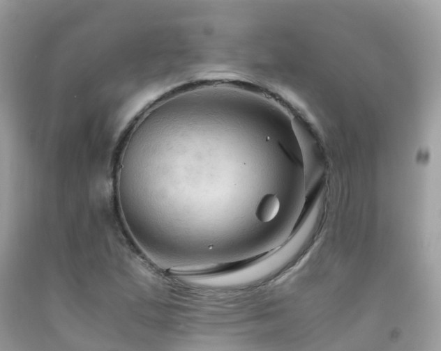 X0000091941167200709051516