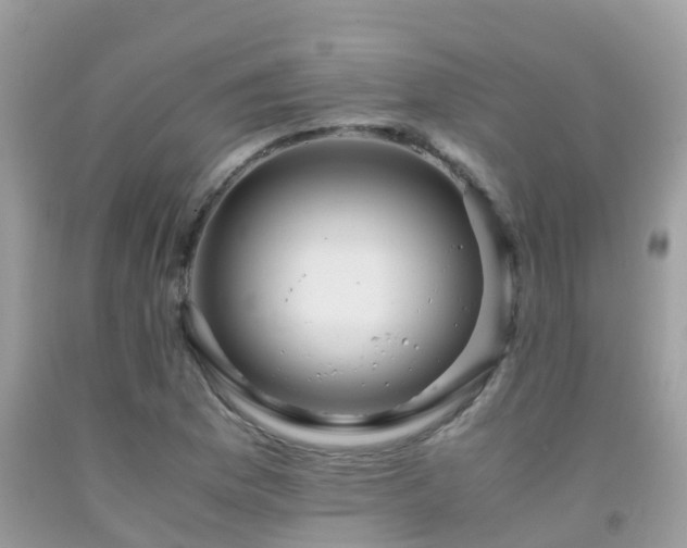 X0000091941169200709051516