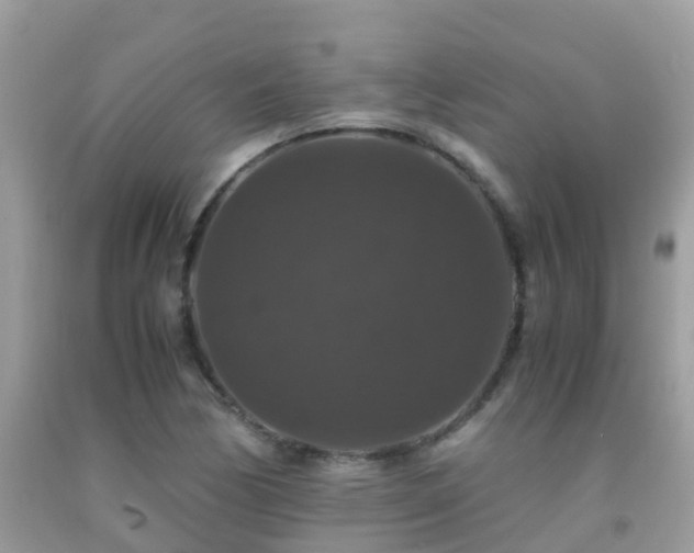 X0000091941170200709051516