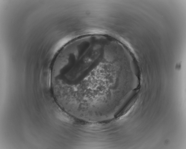 X0000091941171200709051516