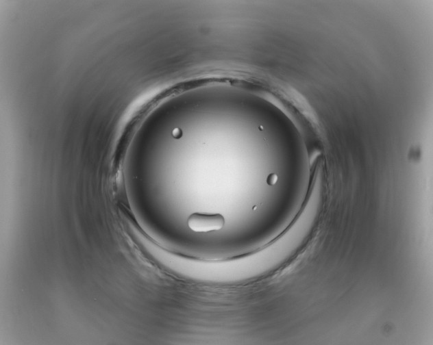 X0000091941172200709051516