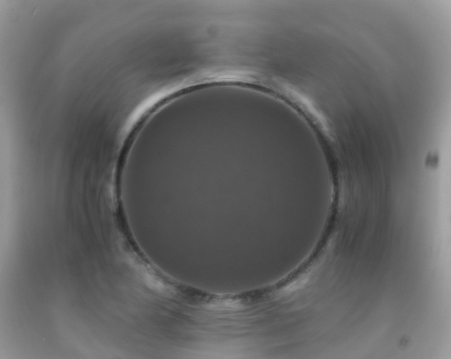 X0000091941174200709051516