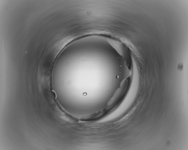 X0000091941177200709051516