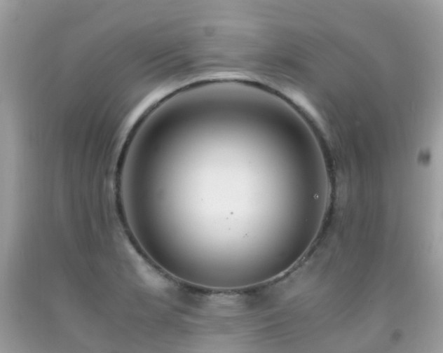 X0000091941181200709051516