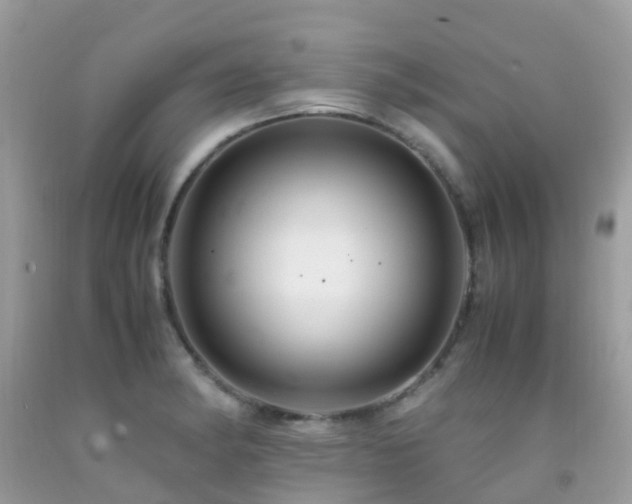 X0000091941182200709051516