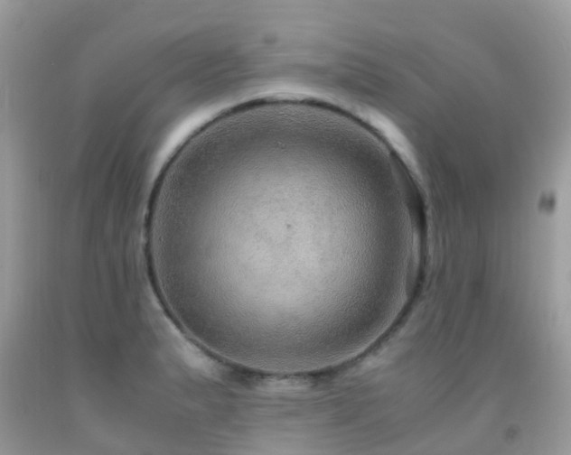 X0000091941183200709051516