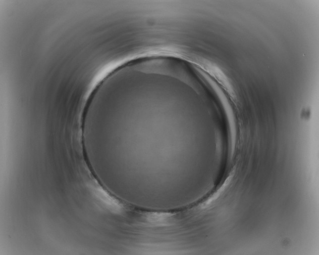 X0000091941184200709051516