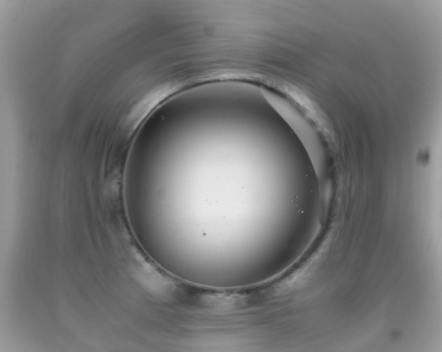 X0000091941185200709051516