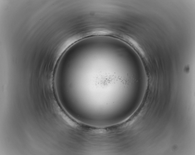 X0000091941186200709051516