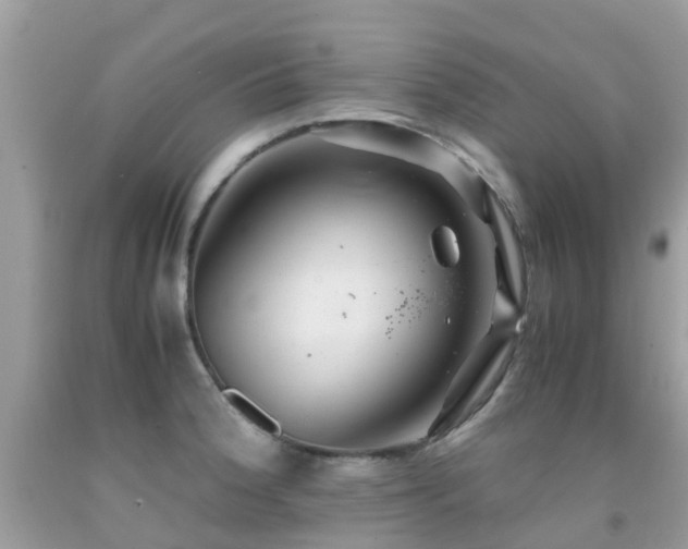 X0000091941188200709051516