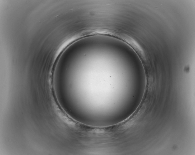 X0000091941190200709051516