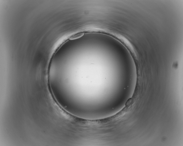 X0000091941191200709051516