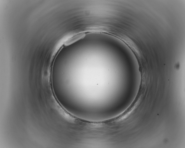 X0000091941196200709051516