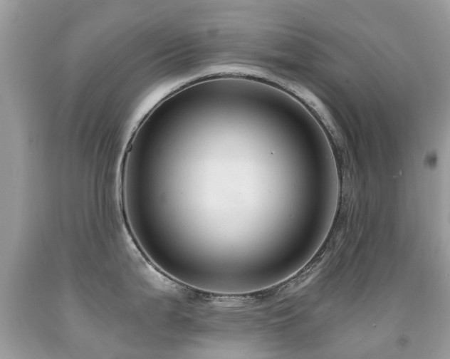 X0000091941199200709051516