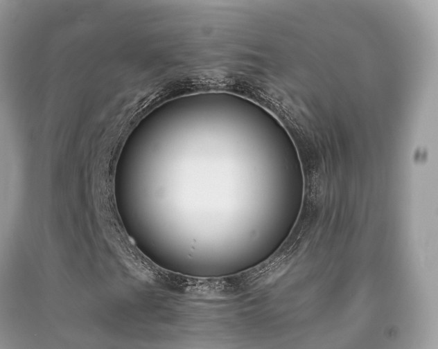 X0000091941201200709051515