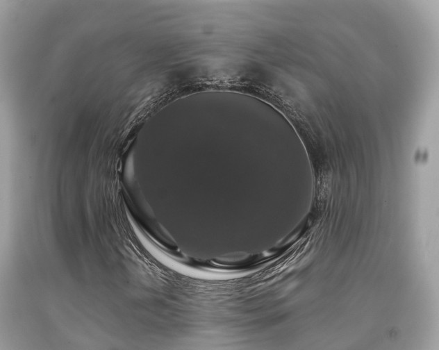 X0000091941202200709051515