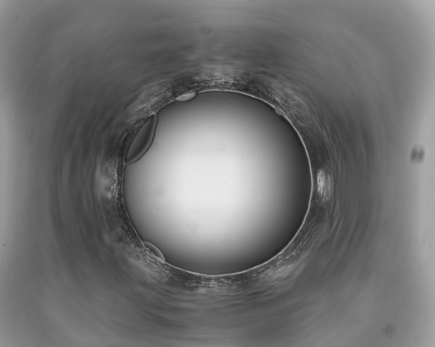 X0000091941203200709051515