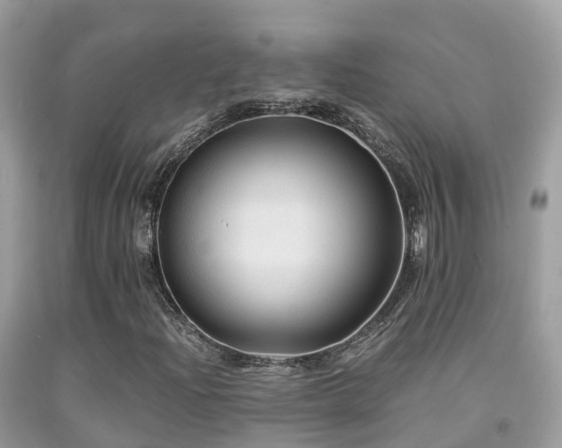 X0000091941204200709051515