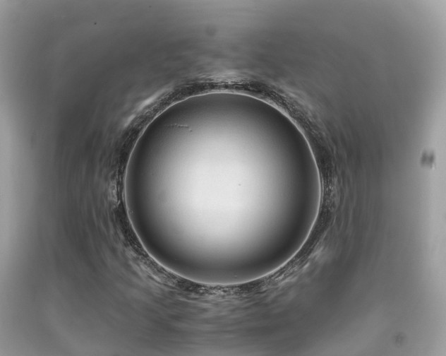 X0000091941205200709051515