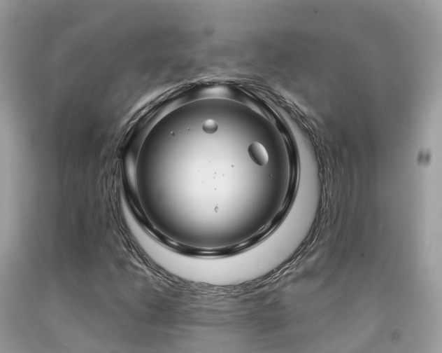 X0000091941206200709051515