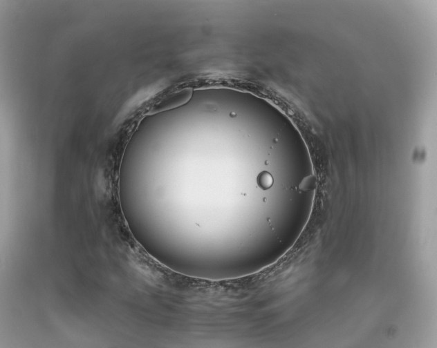 X0000091941207200709051515