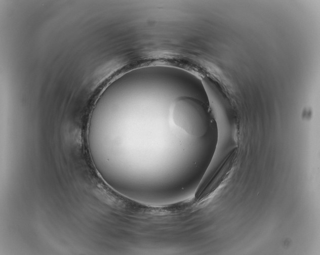 X0000091941209200709051515