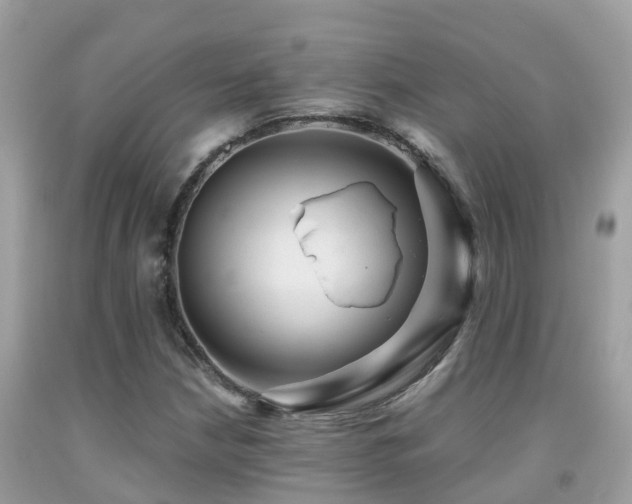 X0000091941210200709051515