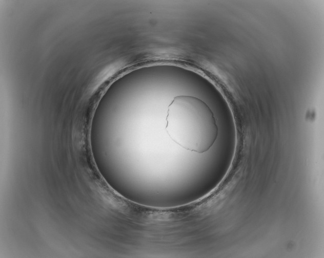 X0000091941211200709051515