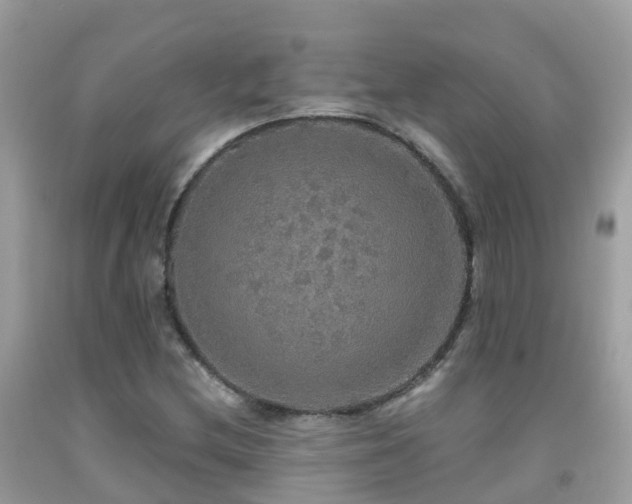 X0000091941212200709051515