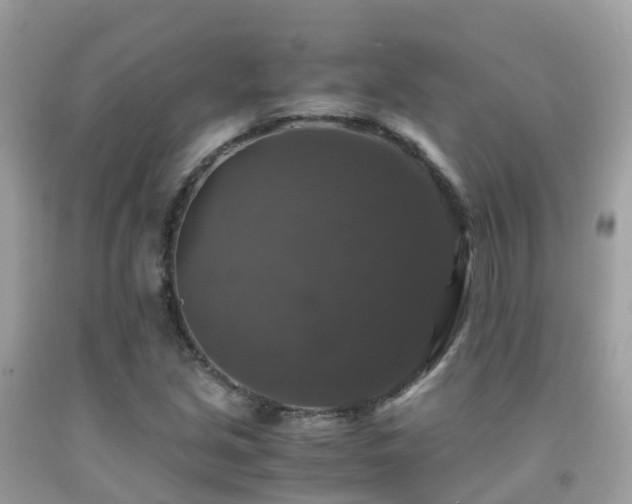 X0000091941213200709051515