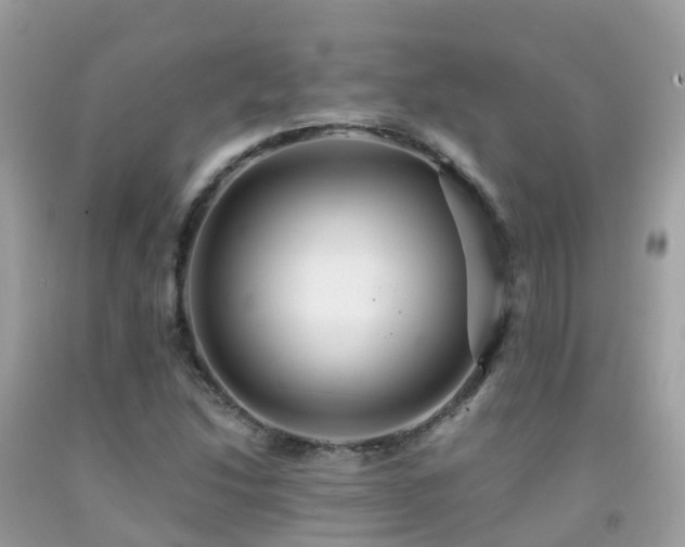 X0000091941214200709051515